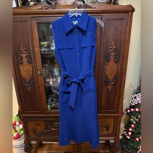 Daniel Cremieux Royal Blue Dress